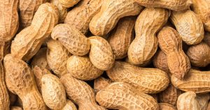 Newswise: Eating Small Amounts of Peanut after Immunotherapy May Extend Allergy Treatment Benefits