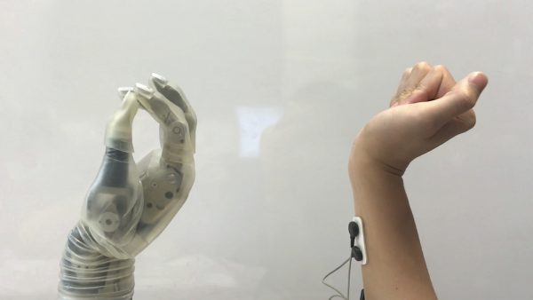 The work relies on computer models that closely mimic the behavior of the natural structures in the forearm, wrist and hand. (Photo by Lizhi Pan/UNC & NC State Joint Department of Biomedical Engineering)