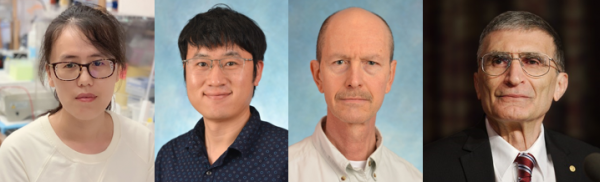 Authors (from left to right): Yanyan Yang PhD, Postdoctoral fellow; Zhenxing Liu PhD, Postdoctoral fellow; Christopher Selby PhD, Research Instructor; Aziz Sancar MD PhD, Distinguished Professor.