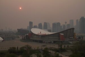 Researchers Link Early-life Exposure to Wildfire Smoke with Early Use of Upper Respiratory Medication